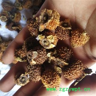 瑞森药材行 新货 刺梨 刺梨子 刺梨图2