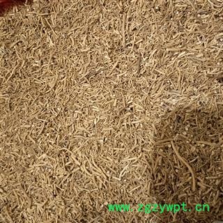 徐长卿 徐长卿土细辛 产地 山东省图2