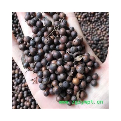 诺源药材行中药材优质南烛子 天竹子 乌饭果