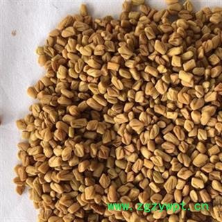 诺源药材行中药材 芦巴 香草籽 葫芦巴 苦草 胡巴图2