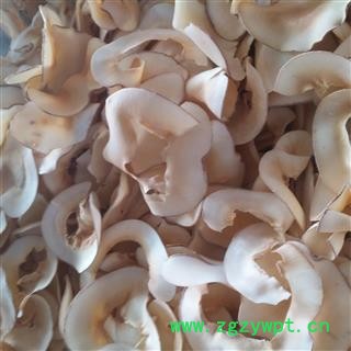 诺源中药材野生海底椰  药食同源图2