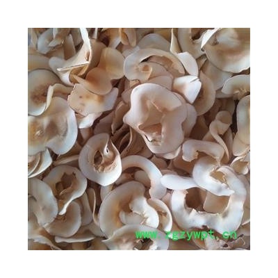 诺源中药材野生海底椰  药食同源