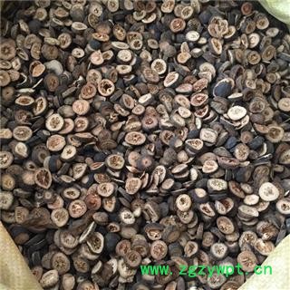 诺源药材行正品江枳实 枳实图3