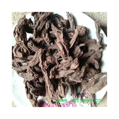 小丽百草行红大戟  产地云南无杂