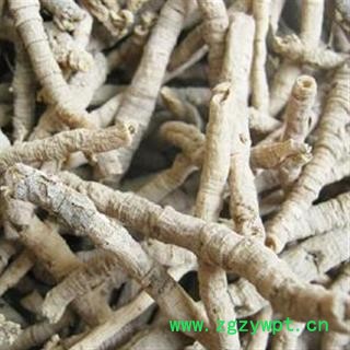 小丽百草行远志 远志筒95%抽芯  线儿茶 小草根 神砂草图2