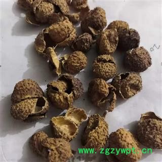 安祁名药砂仁  阳春砂仁 砂仁壳图2