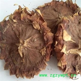 安祁名药正品向日葵花盘 葵花盘图2