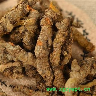 黄连 产地直销黄连 黄连单枝统货  产地 四川省图2