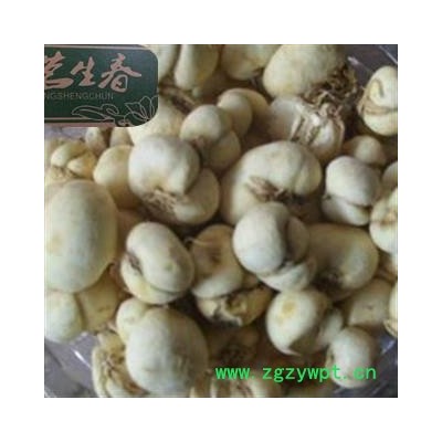 浙贝母 选装 产地 浙江省 茗生春药材总公司 一手货源 7天无理由退换