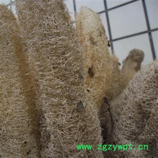 丝瓜布 统 产地 四川省成都市双流县图4