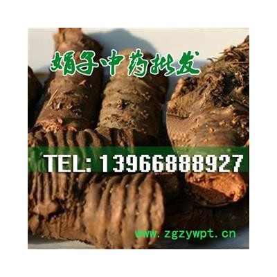 娟子中药批发 红景天 大花   产地 西藏自治区那曲地区比如县