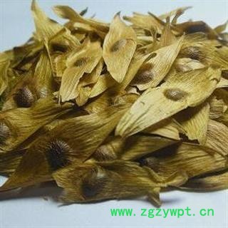 凤眼草 统 产地 河北省安国市场批发零售大全图2