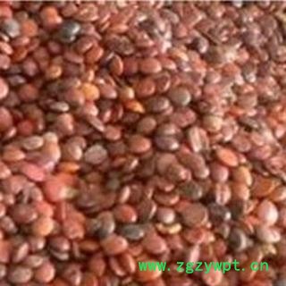 煜庭药业 酸枣仁 国产 正品 新货图2