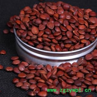 煜庭药业 酸枣仁 国产 正品 新货图3