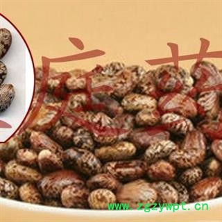 煜庭药业 蓖麻子 红蓖麻子图3