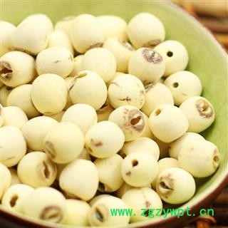 煜庭药业 莲子 全莲子  药用 白莲子图3