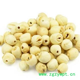 煜庭药业 莲子 全莲子  药用 白莲子图2
