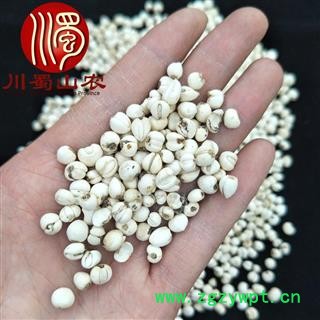 川贝母怀中抱月选货散装四川产地直供松贝母川蜀山农中药材批发图2