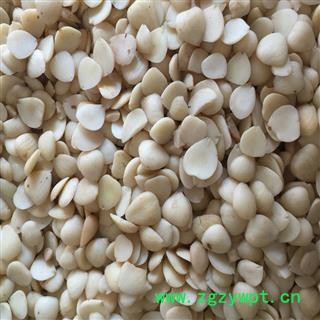 煜庭药业 杏仁 苦杏仁图3