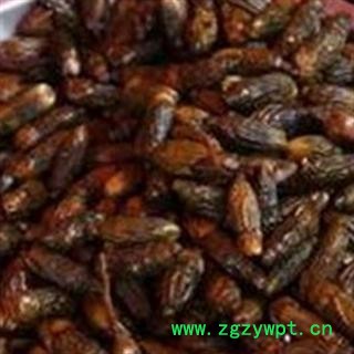 煜庭药业 枣槟榔 壳槟榔图3