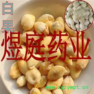 煜庭药业 白果图3