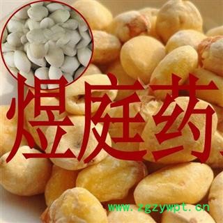 煜庭药业 白果图4