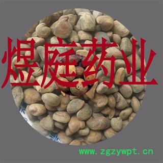 煜庭药业 马槟榔 马金囊、水槟榔、紫槟榔图2