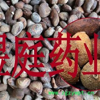 煜庭药业 马槟榔 马金囊、水槟榔、紫槟榔图3