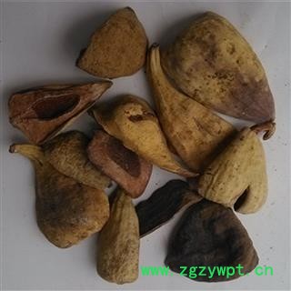 煜庭药业 王不留行壳 木馒头 木莲 水馒头 鬼馒头 蔓头萝 爬墙果 爬壁果 王不留行 馒头米壳 凉粉果 文头果 文头榔 糖馒头 木锋 桔把 馒头郎图4