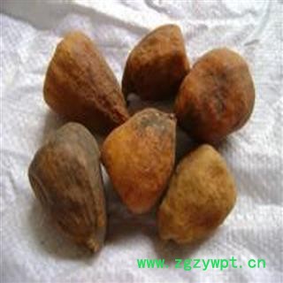 煜庭药业 王不留行壳 木馒头 木莲 水馒头 鬼馒头 蔓头萝 爬墙果 爬壁果 王不留行 馒头米壳 凉粉果 文头果 文头榔 糖馒头 木锋 桔把 馒头郎图3