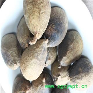 煜庭药业 王不留行壳 木馒头 木莲 水馒头 鬼馒头 蔓头萝 爬墙果 爬壁果 王不留行 馒头米壳 凉粉果 文头果 文头榔 糖馒头 木锋 桔把 馒头郎图2