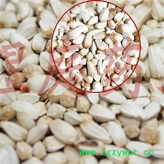 煜庭药业 红花子 草红花子 天然红花籽 白瓜子 红花子图3