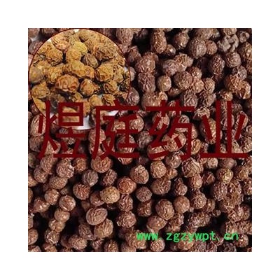 煜庭药业 梧桐子 梧桐籽 飘儿果 桐麻豌 正品