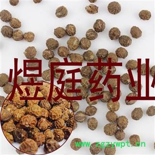 煜庭药业 梧桐子 梧桐籽 飘儿果 桐麻豌 正品图3