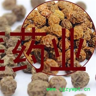 煜庭药业 梧桐子 梧桐籽 飘儿果 桐麻豌 正品图2