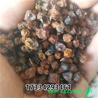 五味子西五味南五味子图4