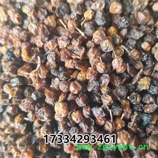 五味子西五味南五味子图2