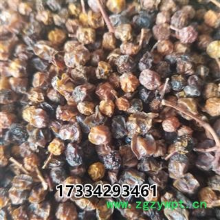 五味子西五味南五味子图3