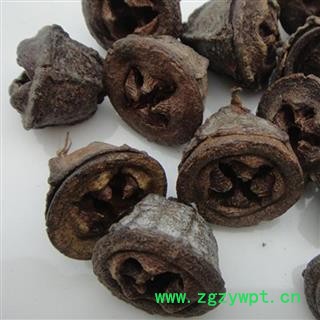云南 一口钟 红嗽叭花 云南白树球 扣子七 胜利果 中药材 一口盅新货一口钟泡酒图2