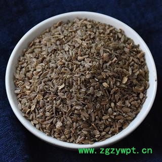 瑞森药材行 胡萝卜籽 胡萝卜子图2