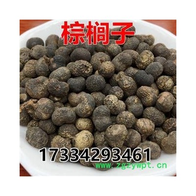 中药材 棕榈子 败棕子 棕树果棕树籽