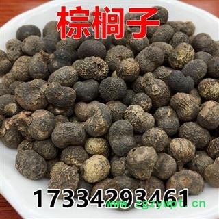 中药材 棕榈子 败棕子 棕树果棕树籽图2
