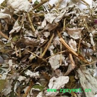 瑞森药材行茅莓 茅梅、 蛇泡簕、三月泡、红梅消、虎波草、薅秧藨图2