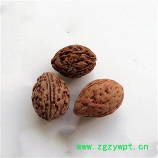 瑞森药材行 梅子核图2