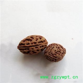瑞森药材行 梅子核图3