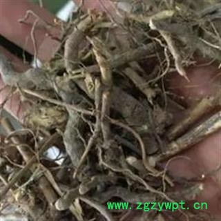 瑞森药材行中药材 茅梅根 茅莓根 红梅消根 三月泡根 蛇泡筋图3