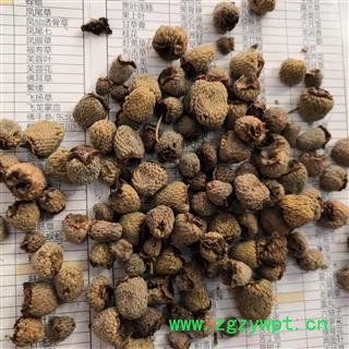 诺源药材行中药材覆盆子  浙八味之一图2