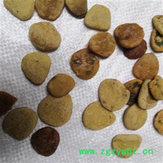 诺源药材行正品木鳖子 木鳖子仁图3