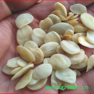 诺源药材行中药材桃仁  山桃仁图2