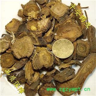 平安药业 土大黄 正品 羊蹄根 箭头草 救命王 金不换 红筋大黄 野篙荬 大晕药 包金莲 止血草 牛大黄 土三七 血当归 血三七 化血莲图2